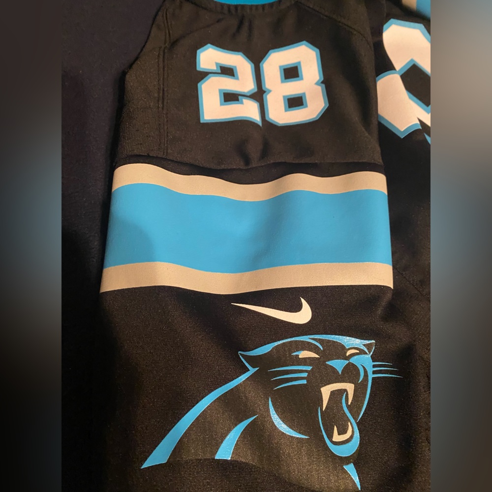 Carolina Panthers #28 Jonathon Stewart - Picture 7 of 7